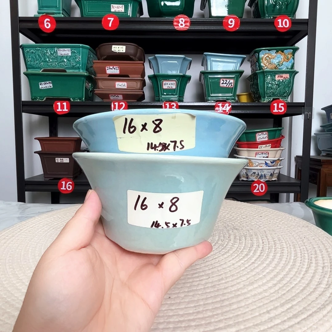 本以为是三分热度，却是十分喜欢