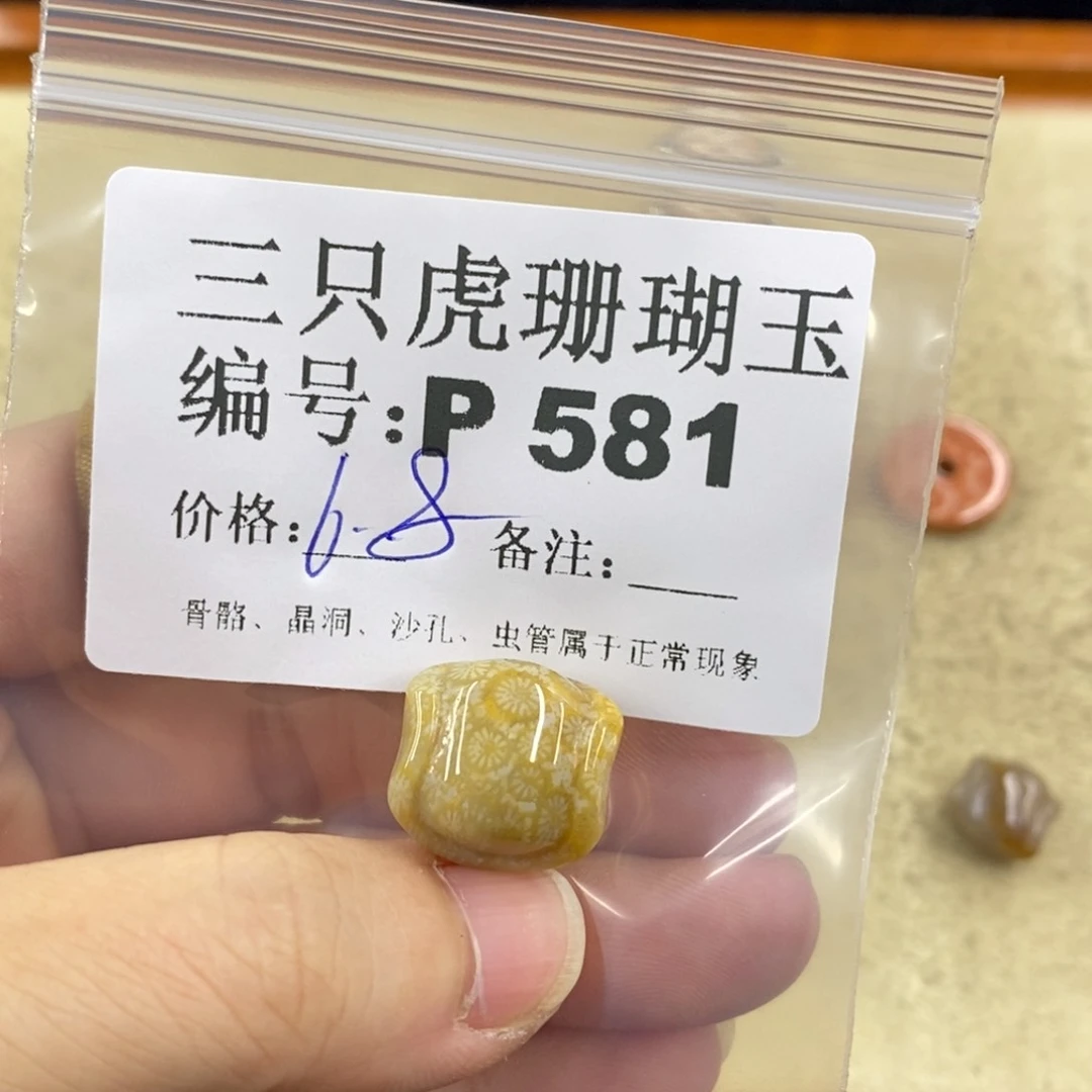 硅化珊瑚（珊瑚玉）1未镶嵌ʚ****ɞ