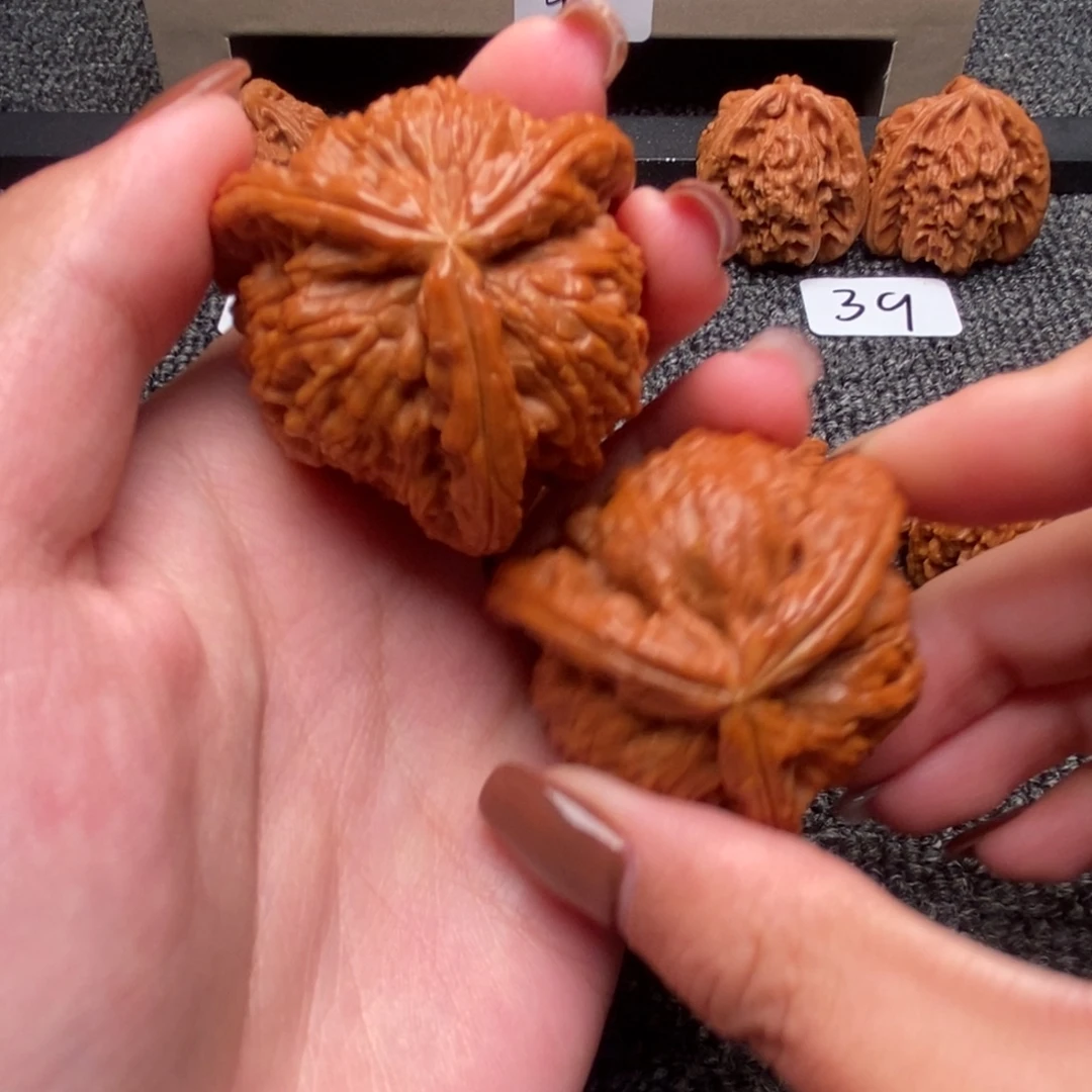 起***³木质类白狮子正奔