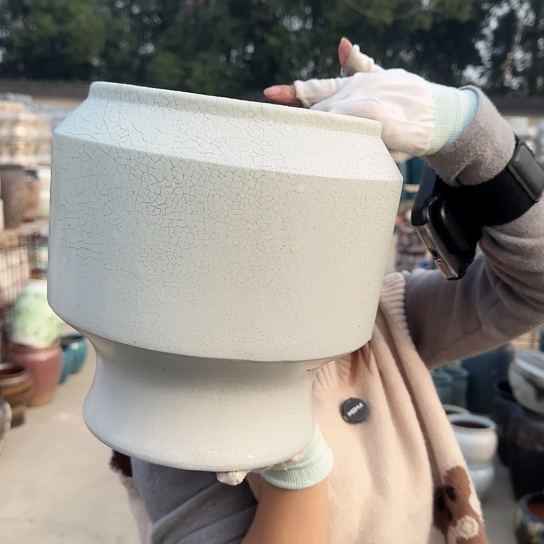 王嫂花盆直播1114-372