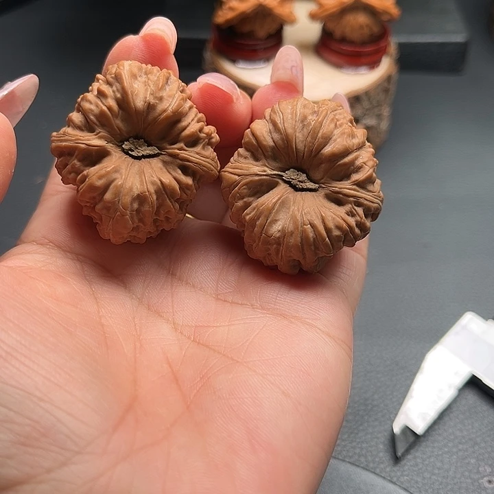 核桃37凹底全品核桃