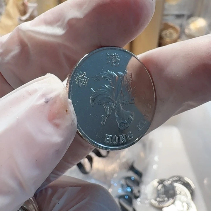 其他普通金属2019年紫荆花1元币