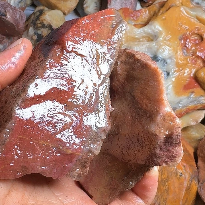 上***室寿山石寿山石的种类