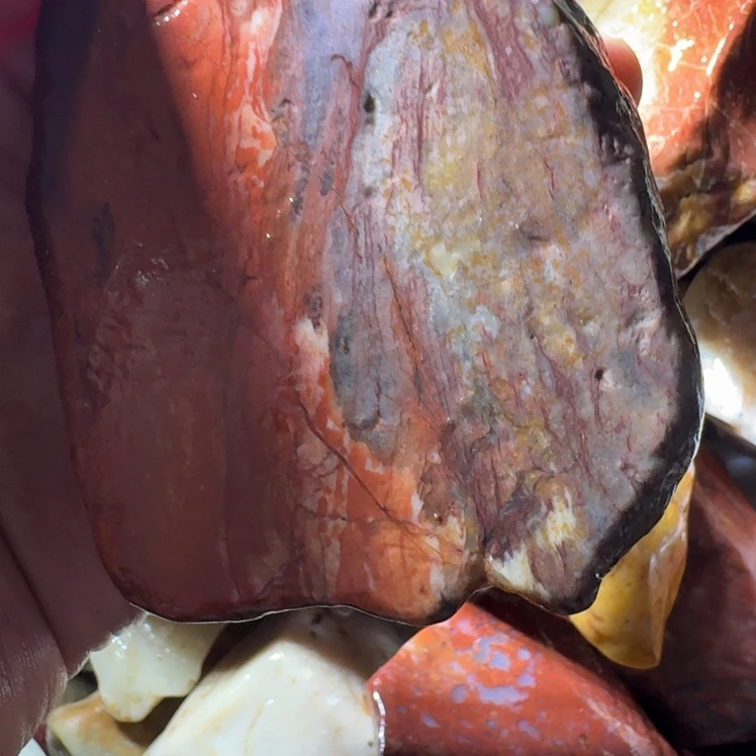 白***树寿山石7898888889999