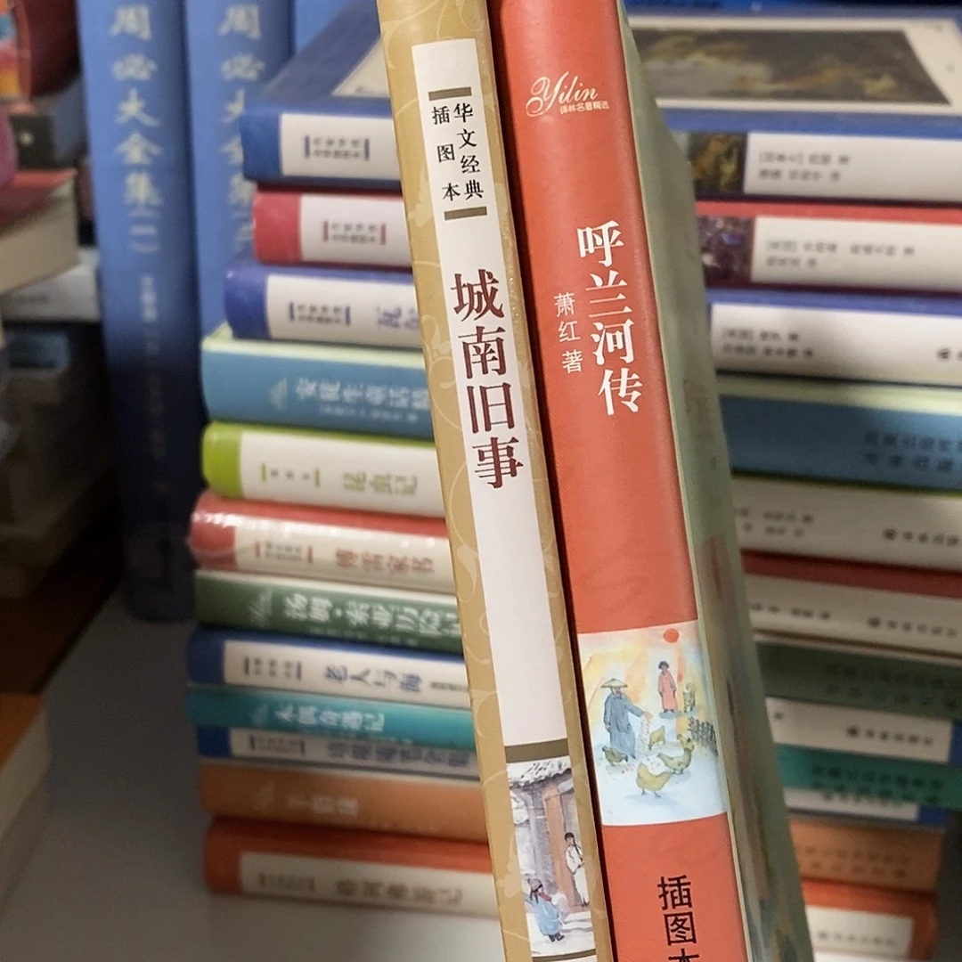 减***王城南旧事  呼兰河