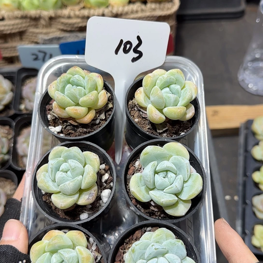 103哈哈哈哈哈哈哈哈