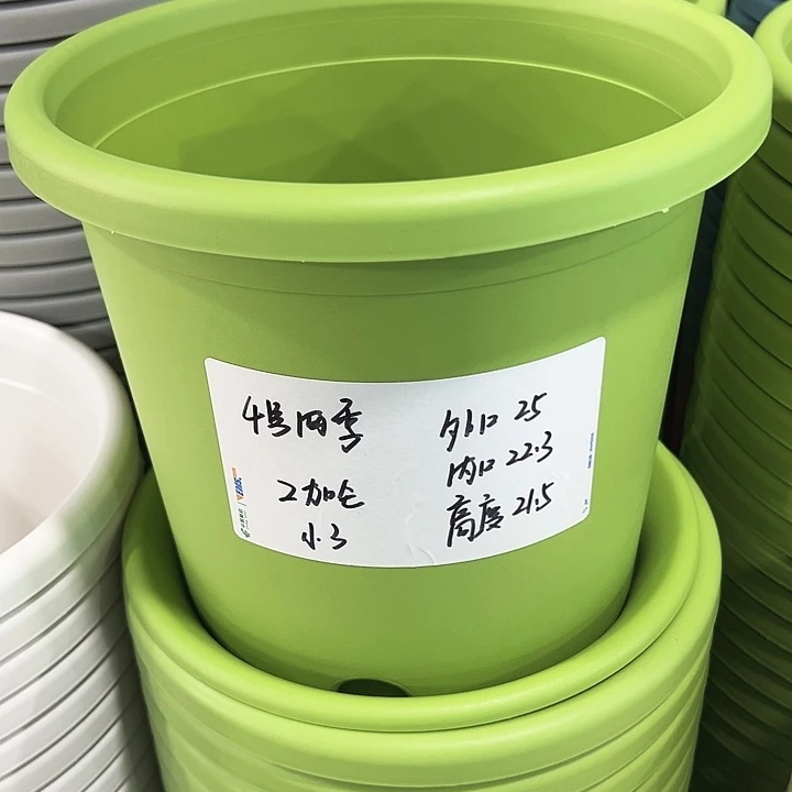正品4号四季口25高21.5果绿无托8只
