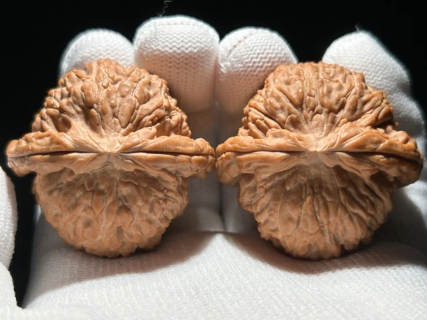 粗筋闷白 42尺寸 全品 一物一图