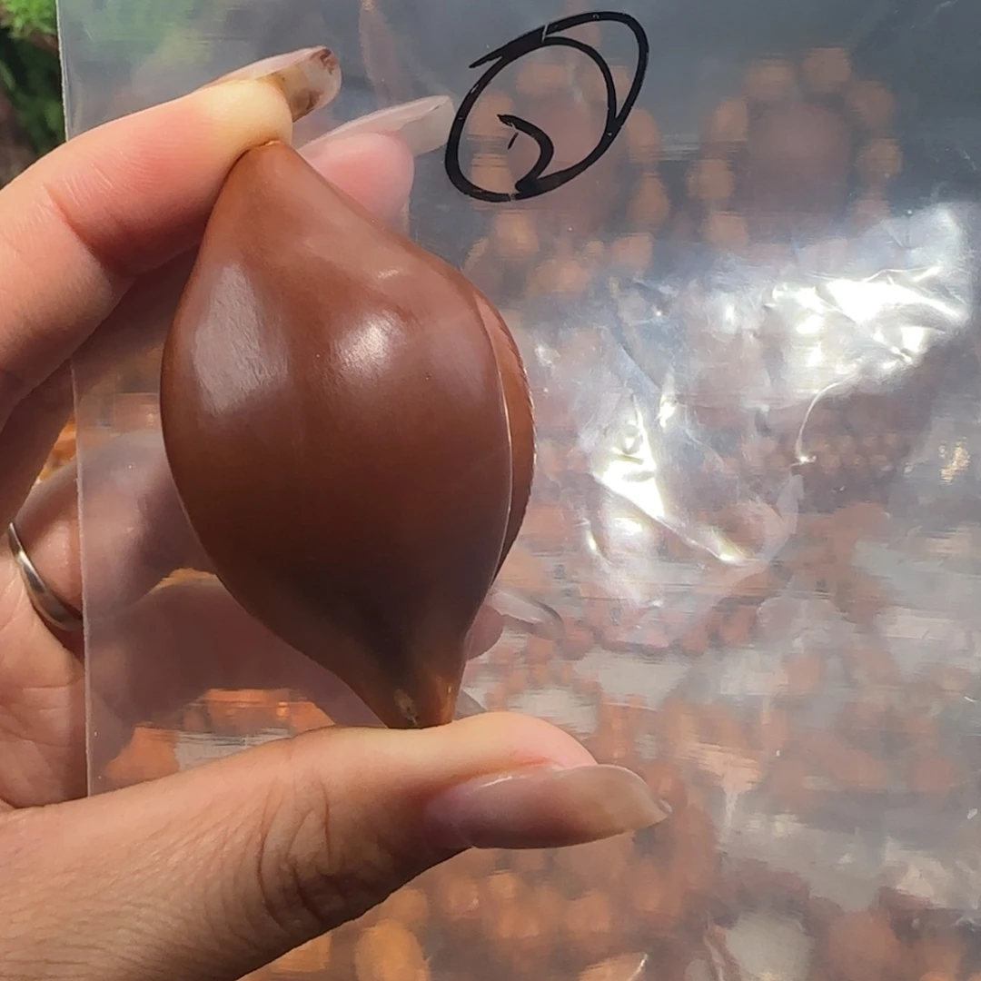 刘***）手串/手链橄榄核福利待遇