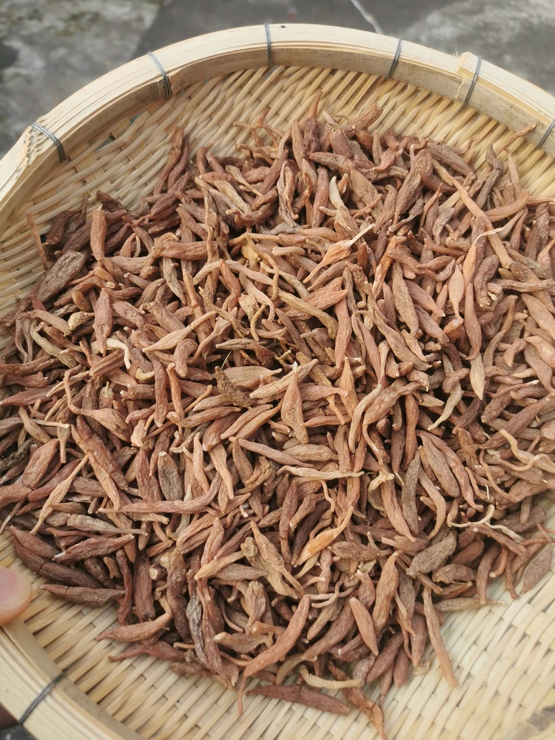 火—山麥   土特产菇