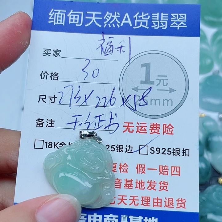 翡翠银S925镶嵌颈饰翡翠