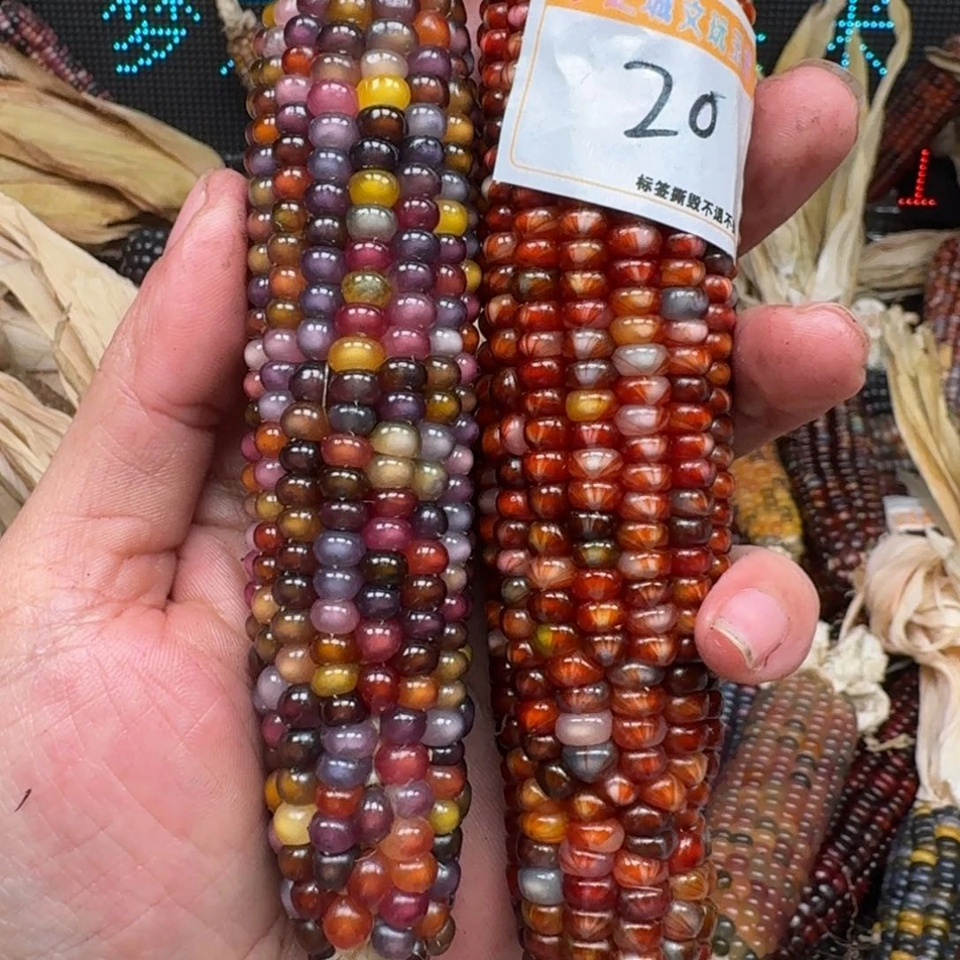 柏香籽/百香籽吊坠x*x