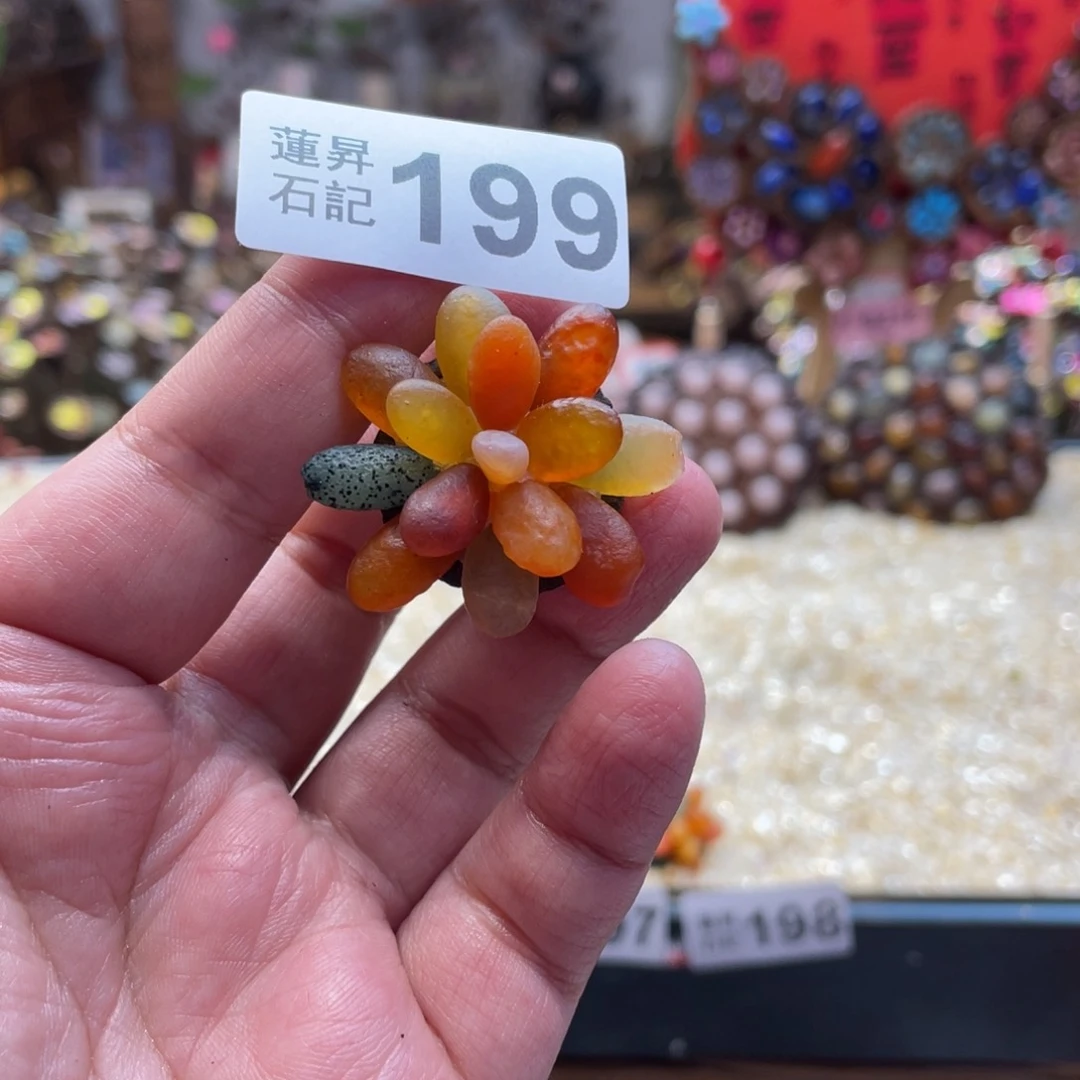 核桃木/黑胡桃（胡桃木）199