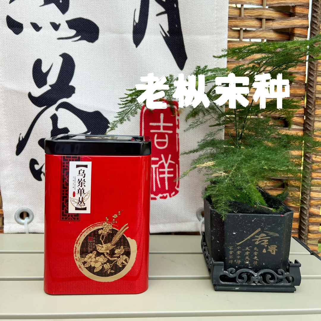 【黄枝型宋种】浓香山韵好严选花果香回甘炭焙罐凤凰潮州乌岽单丛茶