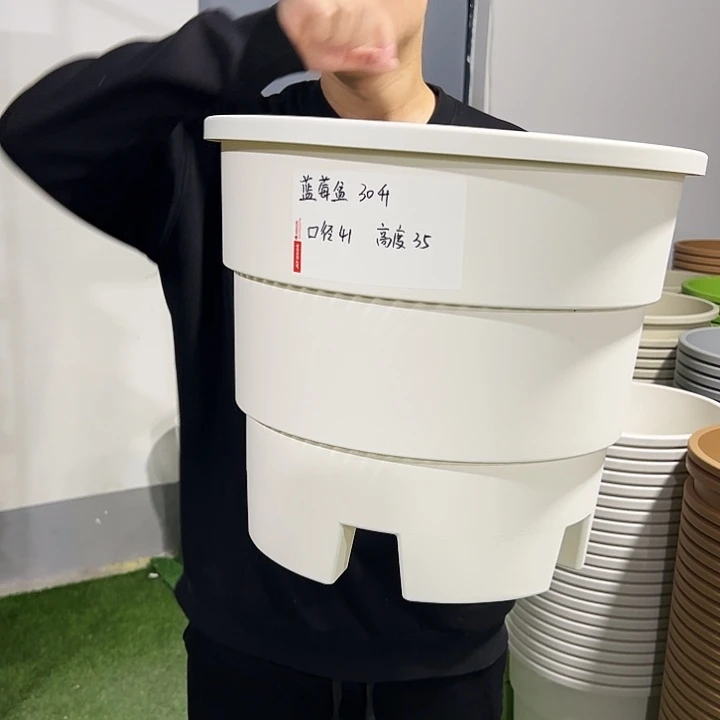 正品蓝莓口41高35白色3只无托