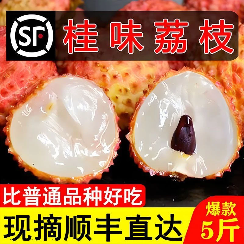 广东桂味荔枝茂名高州新鲜现摘应季水果整箱3/5斤