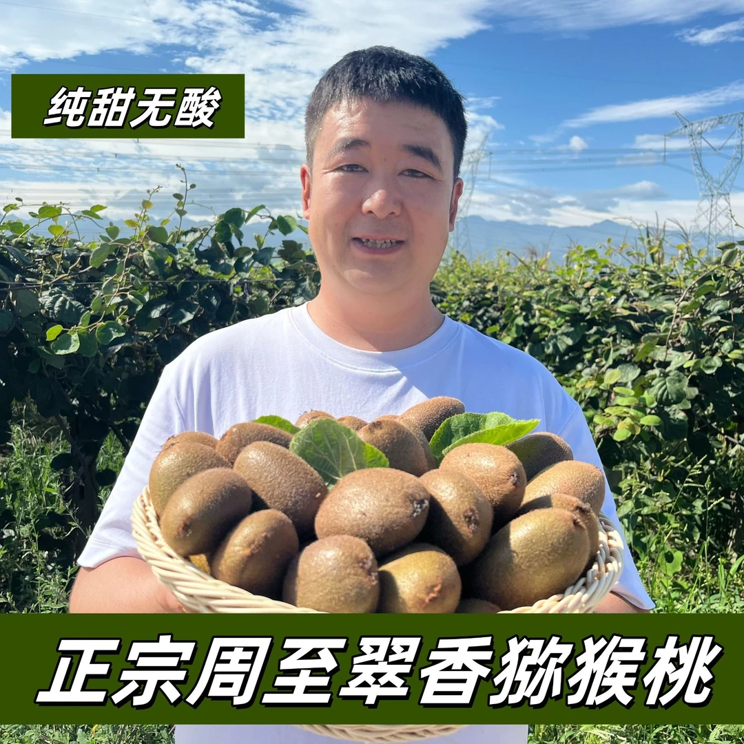 周至翠香猕猴桃很甜不酸新鲜采摘现摘现发坏果包赔