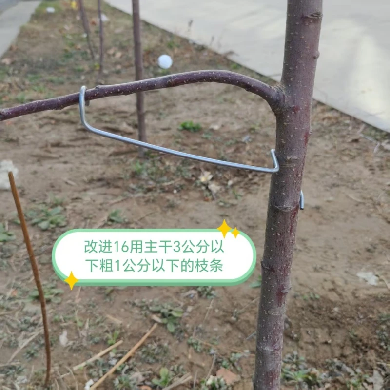 改进型果树拉枝定型器开角定型器苹果樱桃幼树开角器