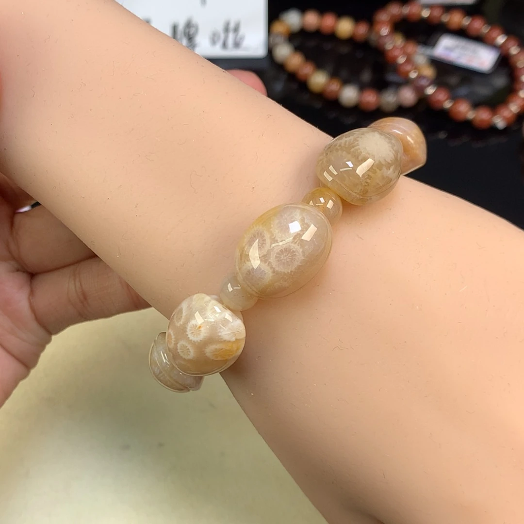 【闪购商品】颈饰未镶嵌硅化珊瑚（珊瑚玉）52号富甲一条