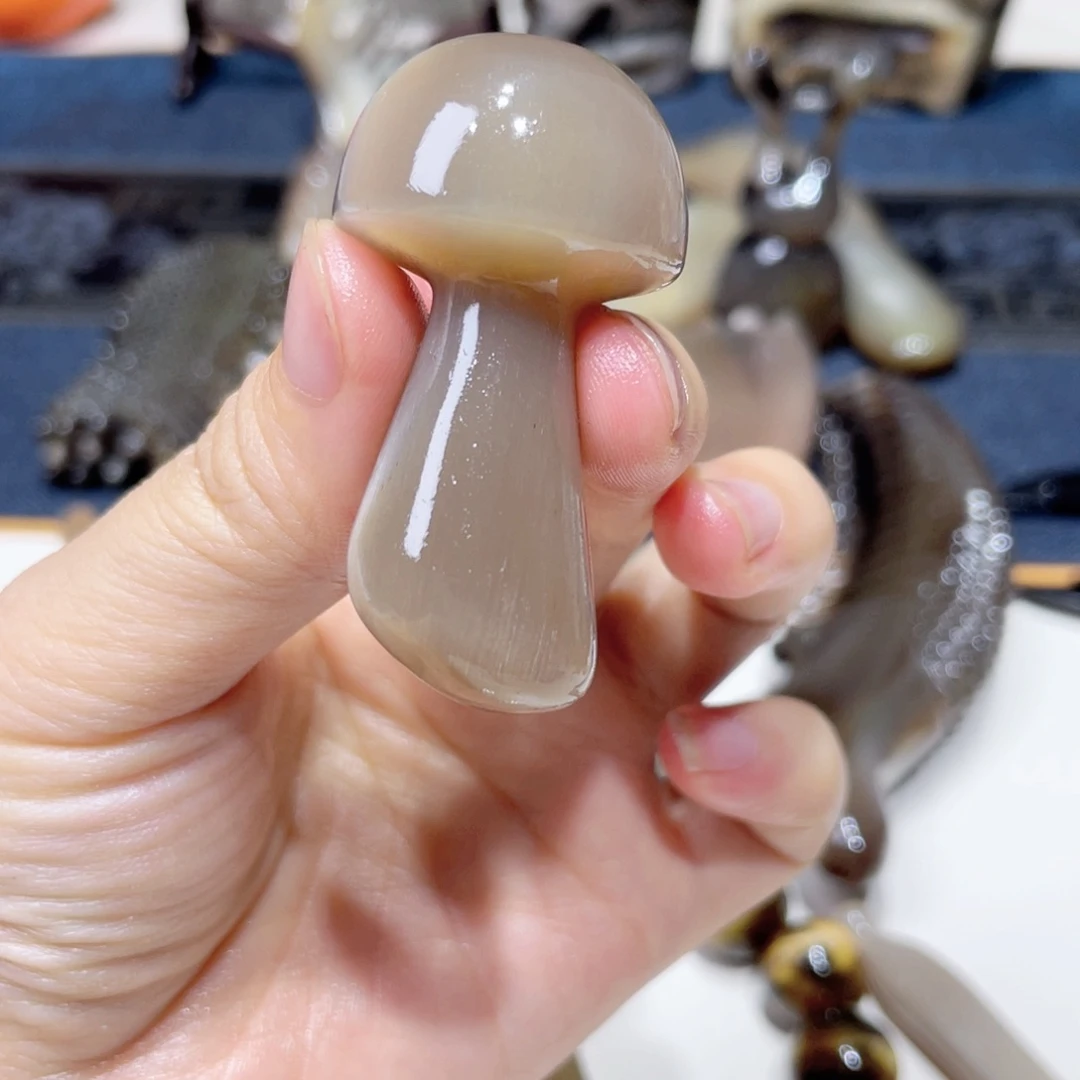 白水牛角眼周小蘑菇