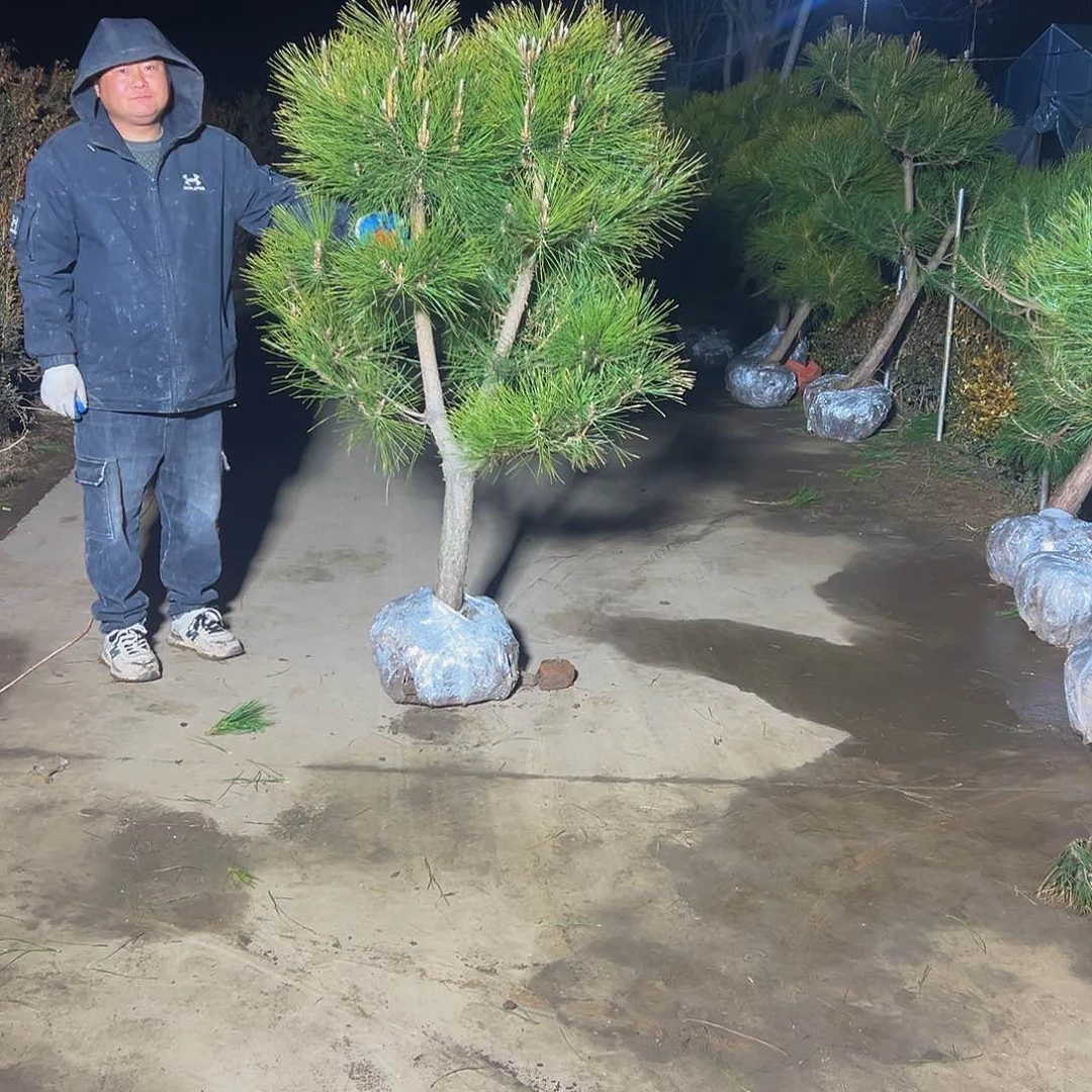 真****！88888888888888