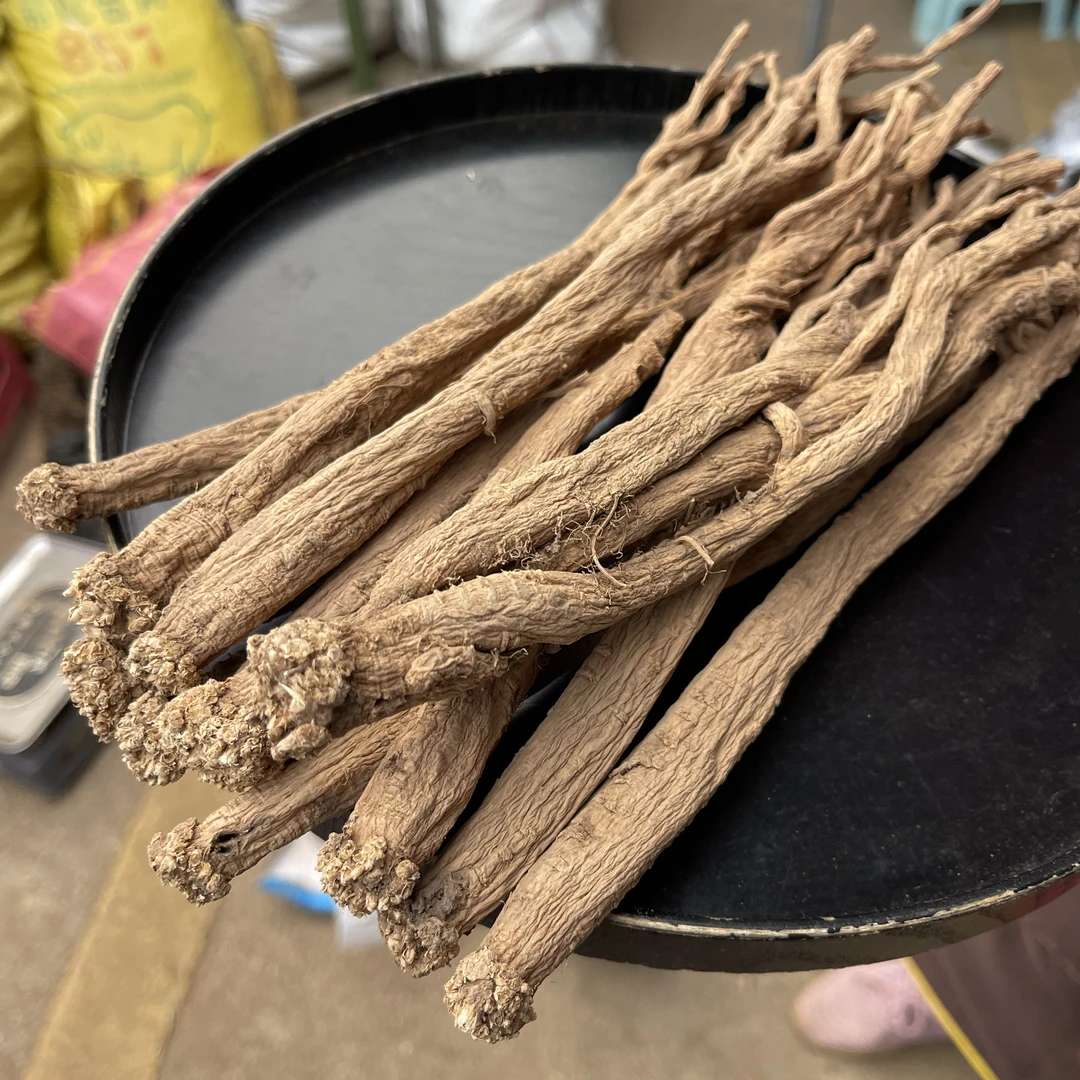 党参    云南中越边境收山货