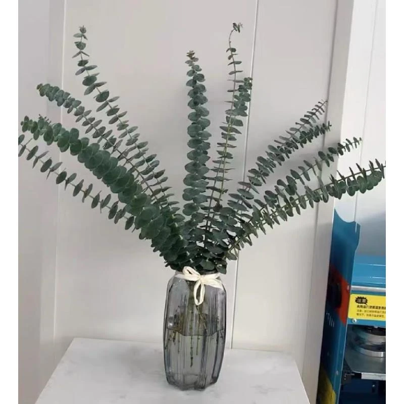 【尤加利叶】同地址两单顺丰或京东送货上门