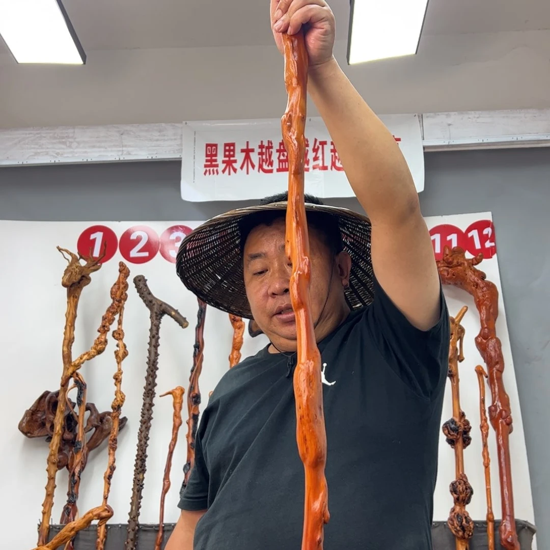 人***客黑果木其他黑果木722