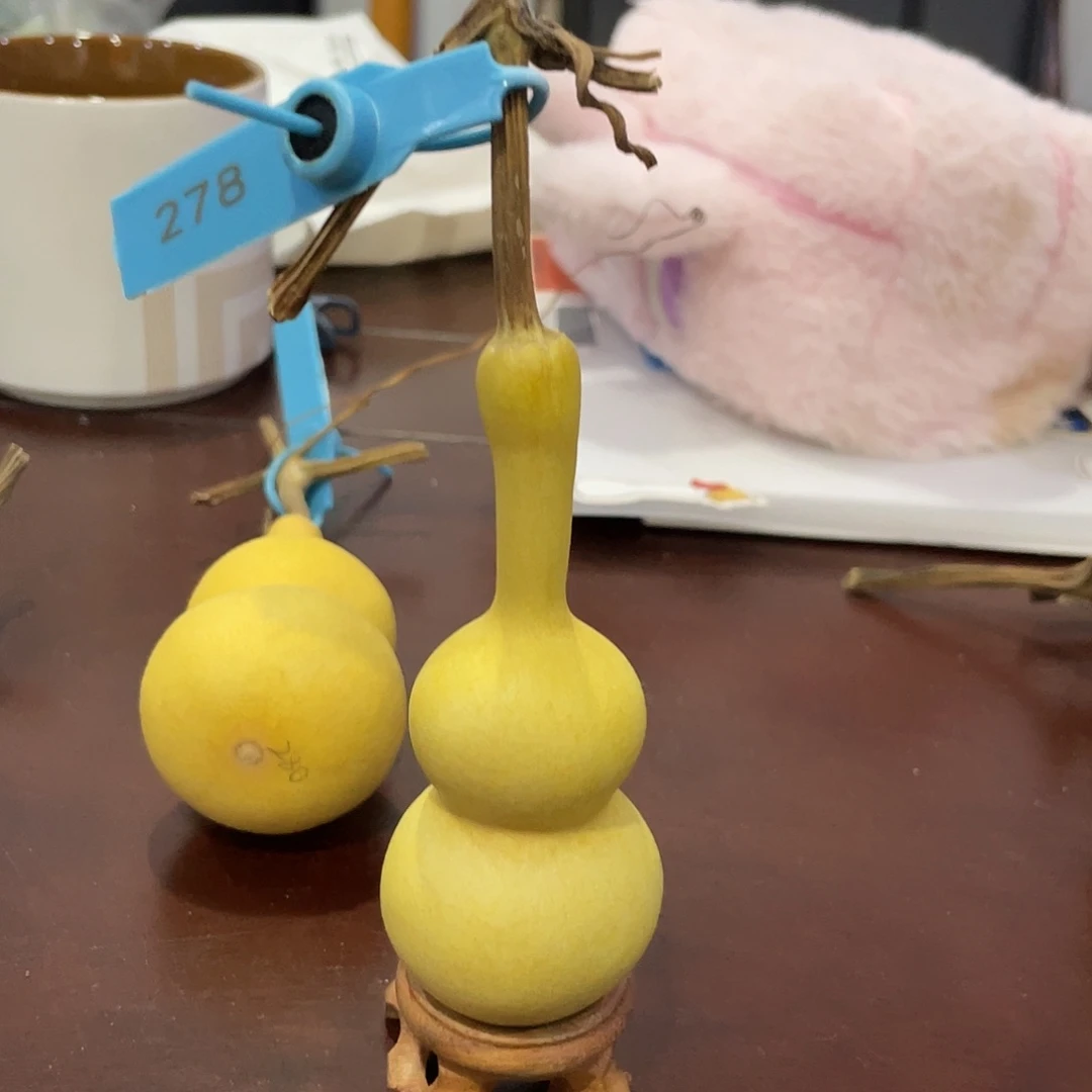 过海关符合环境监管环境