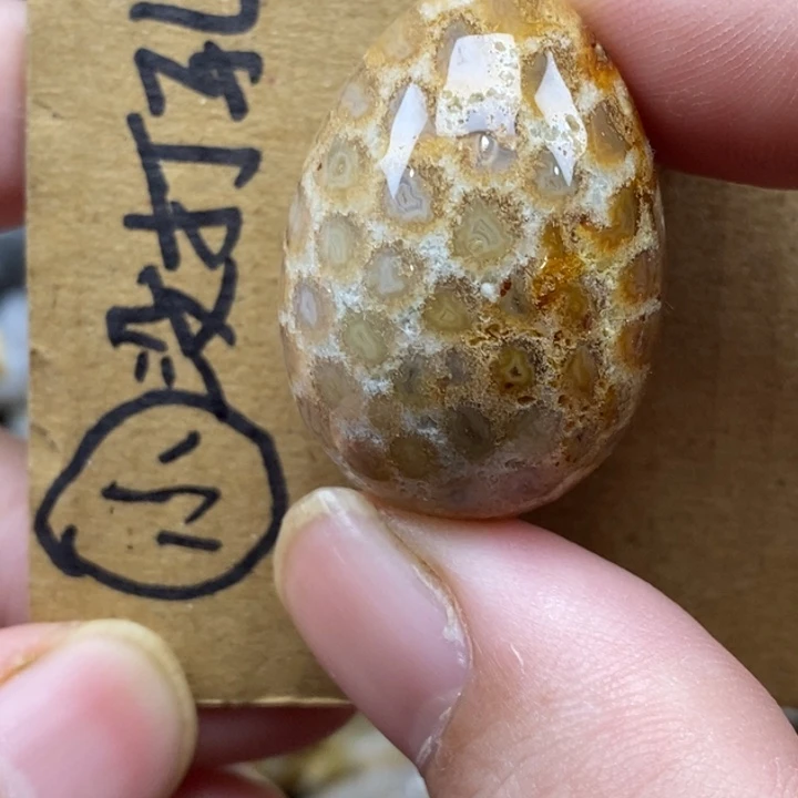 硅化珊瑚（珊瑚玉）未镶嵌颈饰有瑕