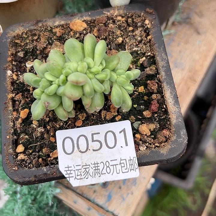 幸运的是你还没遇到你