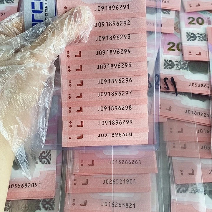 塑料朦胧号标十091896291