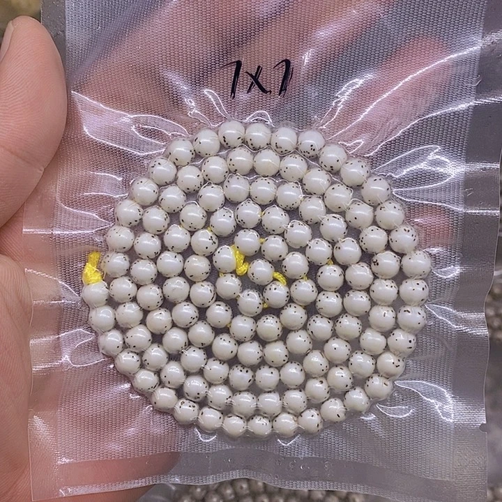 沉***Q星月菩提手串海南原生态星月菩提