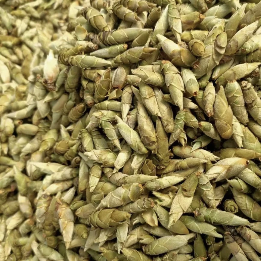 云南25年大雪山野茶《白芽苞》