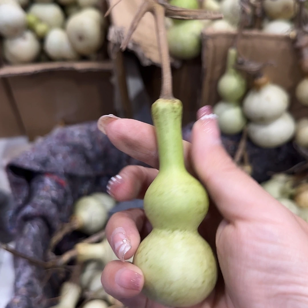 铁***男葫芦哥古古怪怪哈哈哈