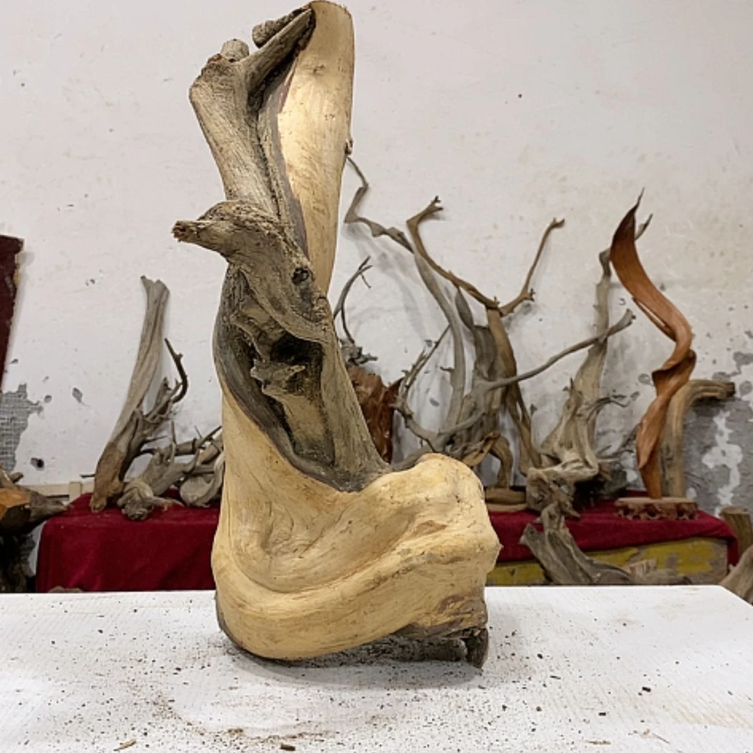 【闪购商品】柏木奇*我们都是好孩子