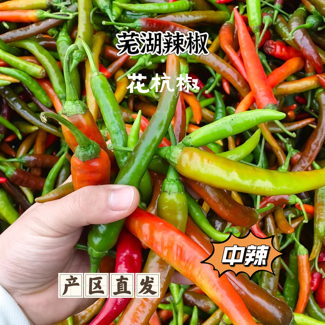 【花杭椒】[半斤]芜湖花杭椒混色辣椒尖椒中辣农家现摘现发比较辣