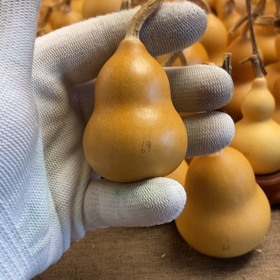 文玩葫芦 完美主义者 慎拍69