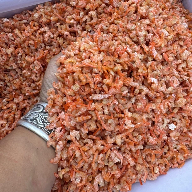 淡干金钩海米干货新鲜虾仁干非特级虾米适合包饺子馄饨调馅料