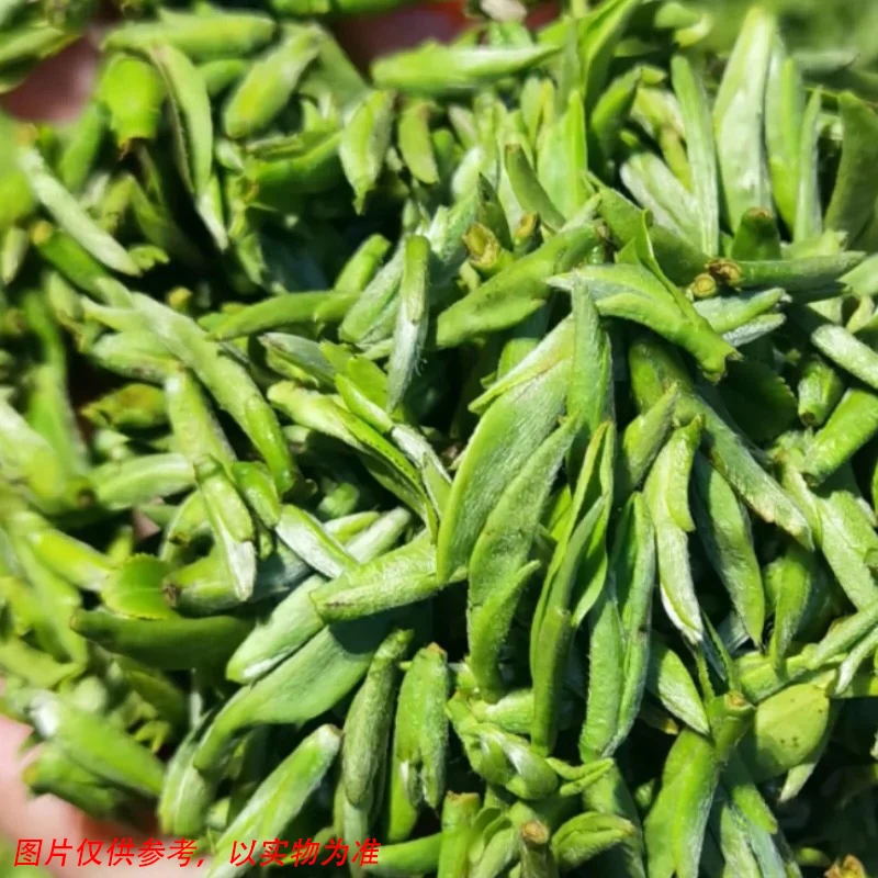 【2025年贵州春茶上市】乌牛早绿茶牛皮纸散装称重250g/500g
