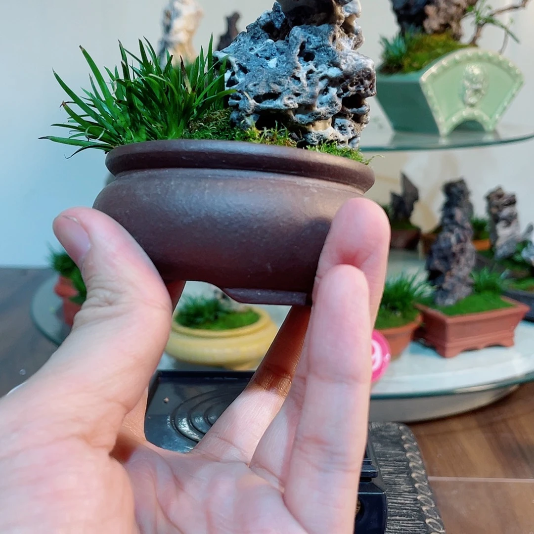 完全开放00000000028