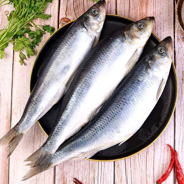 满籽满油东北青鱼 公母随机发沙丁鱼 4斤 鲭鱼 鲱鱼 冷冻发货