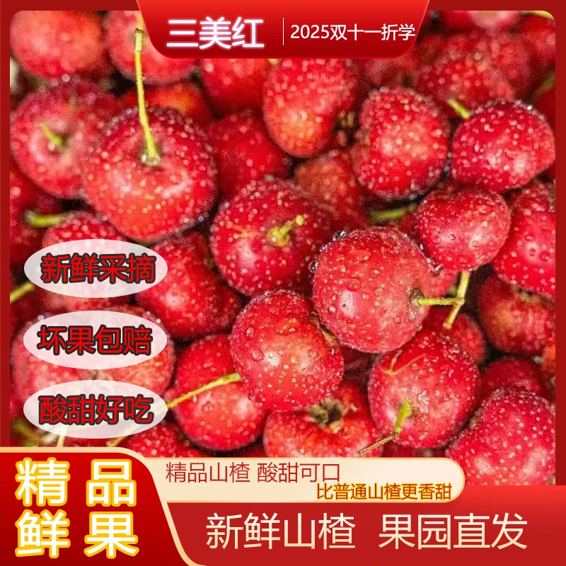 2025年刘杜镇甜红子山楂纯天然酸甜可口正宗山里红软糯香甜