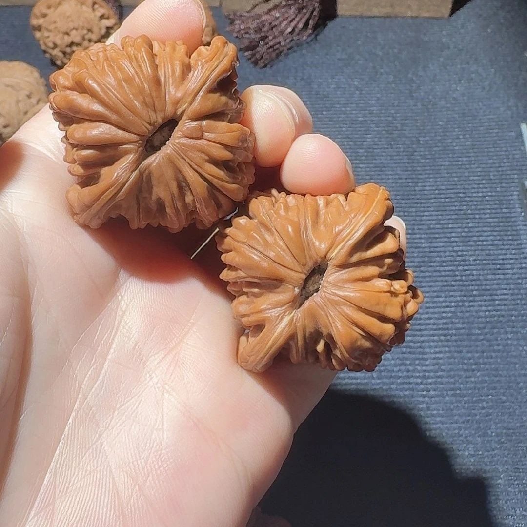 如***果全品无修四座楼狮子头