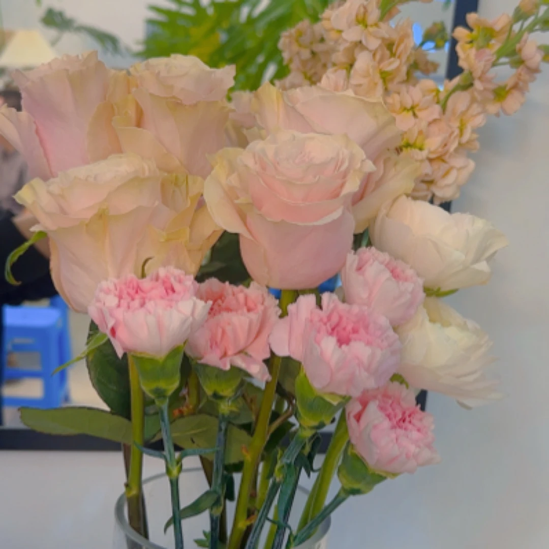 玫瑰五枝康乃馨5支杨牡丹2紫罗兰2