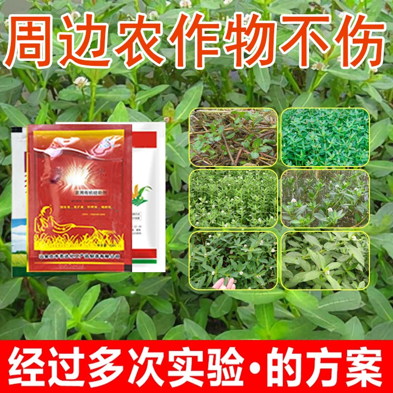 水花生专用水花生升级版套装有机质水溶肥料定向喷雾