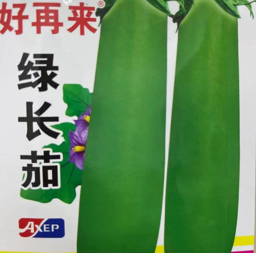 【绿长茄种子】四季种植盆栽地栽阳台小院种植
