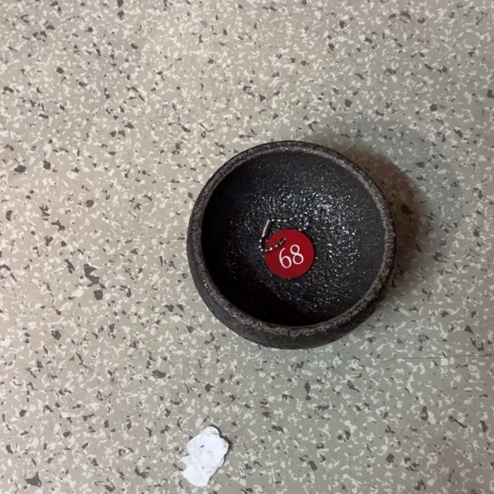 小***尼68号杯杯杯杯杯杯杯杯杯杯