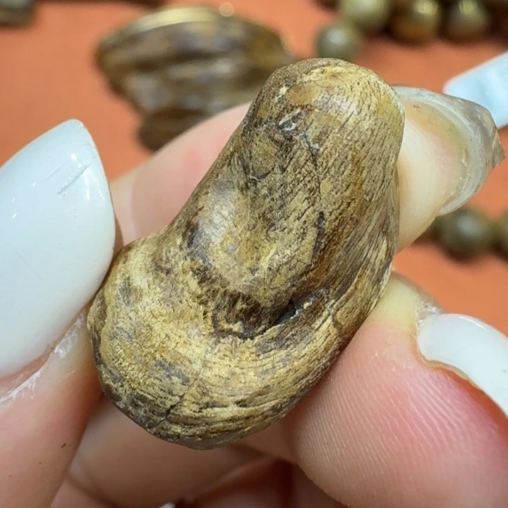 沉香碎屑沉香馨安居沉香888888