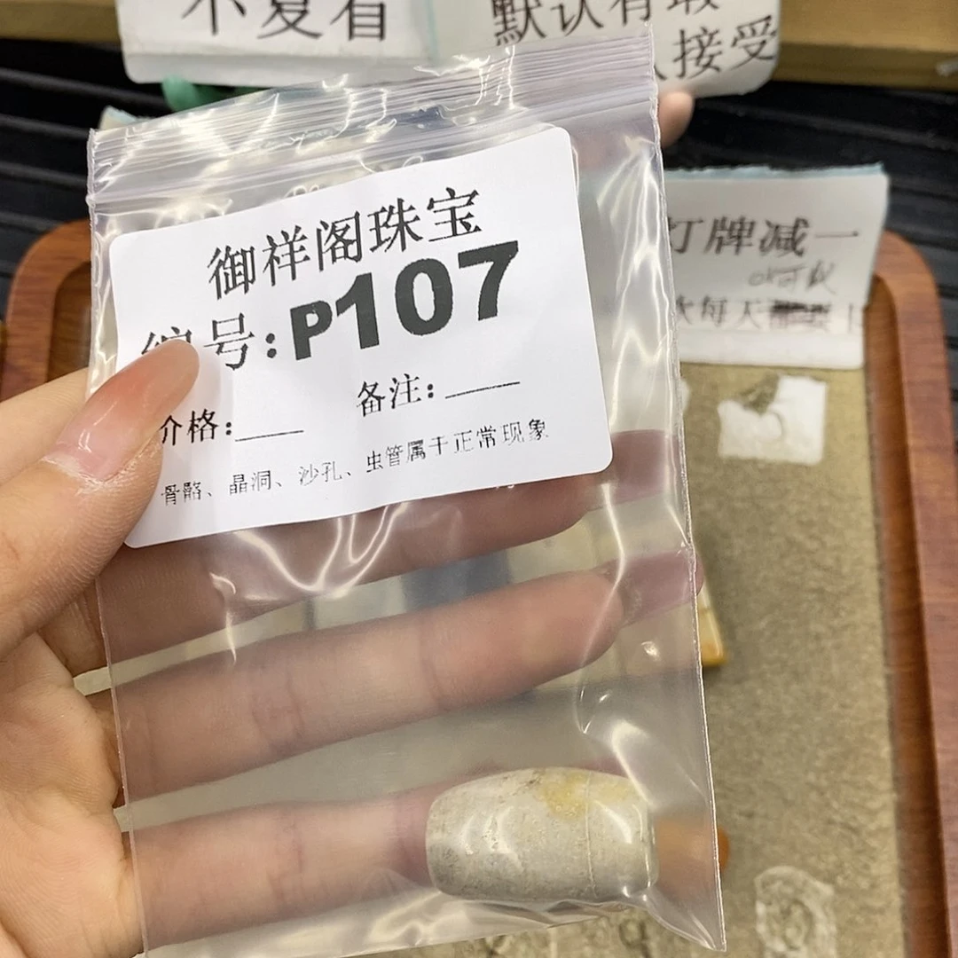 硅化珊瑚（珊瑚玉）未镶嵌颈饰民**学